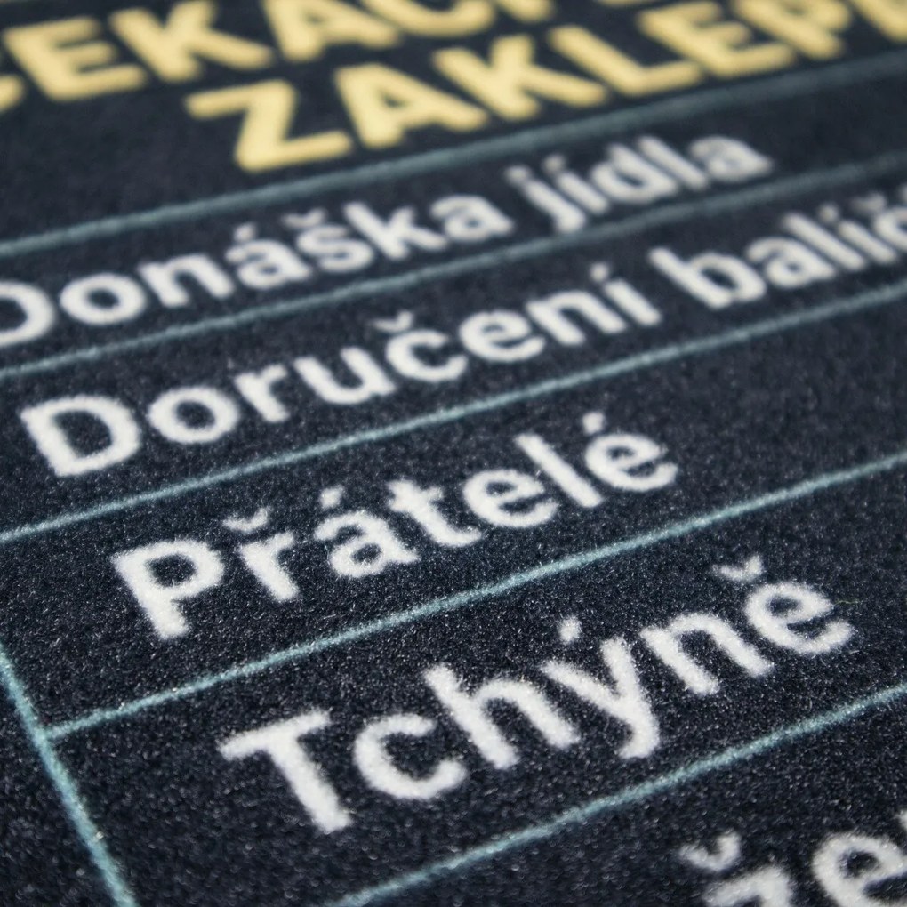 Mercury Flooring, Rohožka Čakacia doba 40x60 cm - na von aj na doma, 40x60, čierna
