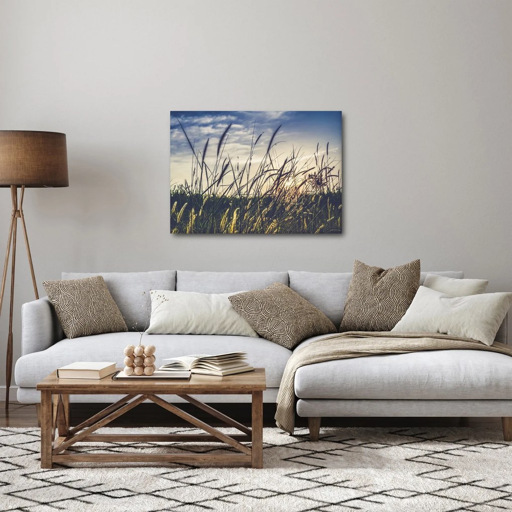Obraz lúčnych kvetov (70x50 cm)