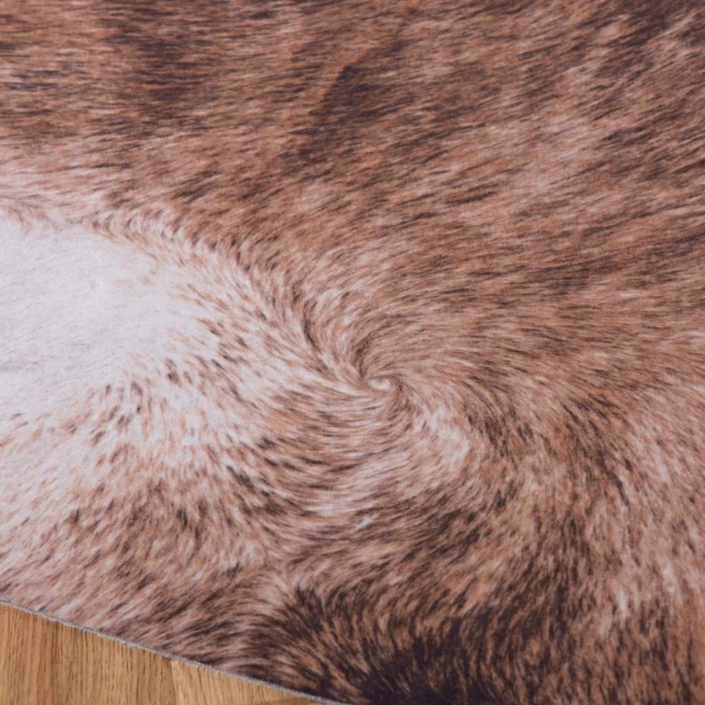 Obsession, Kusový koberec Toledo 194 brown, 155x190 tvar kožušiny, hnedá, obývacia izba