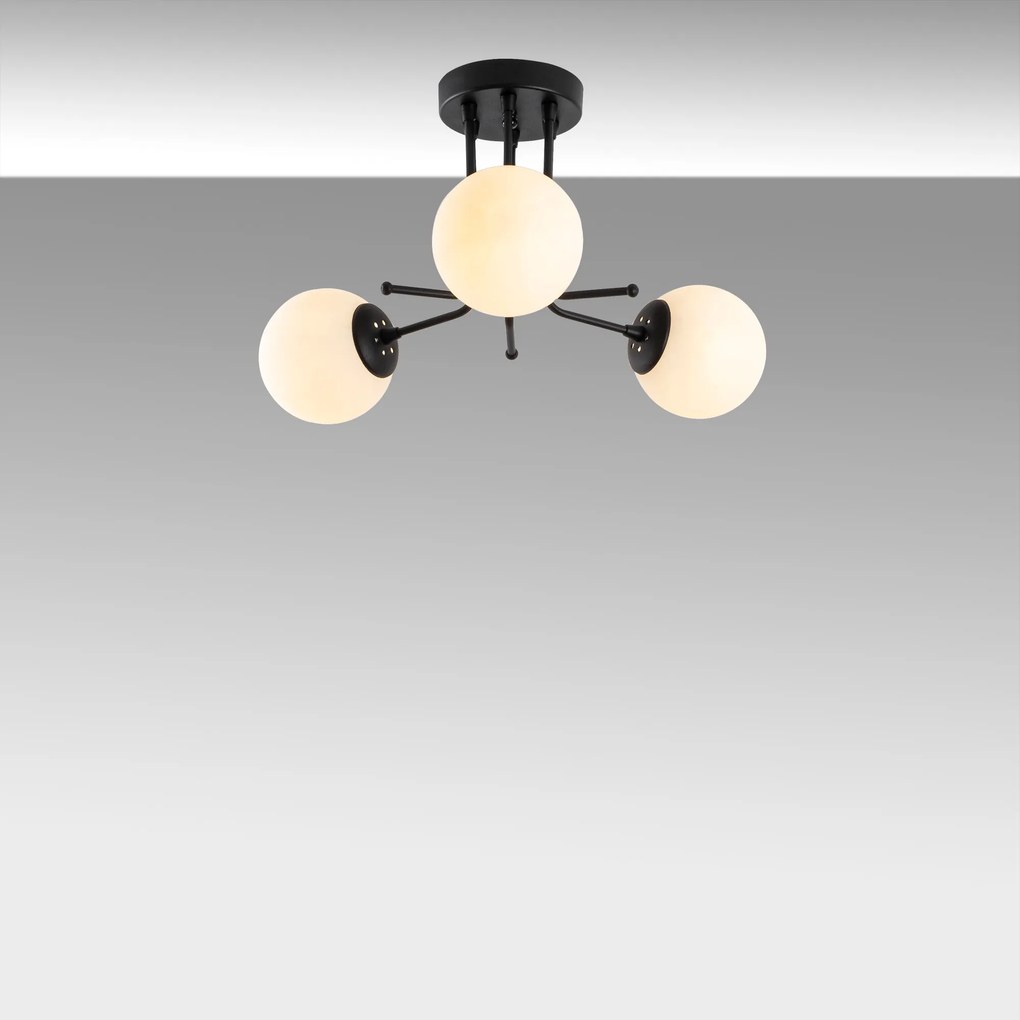 Daisy-147-AV3