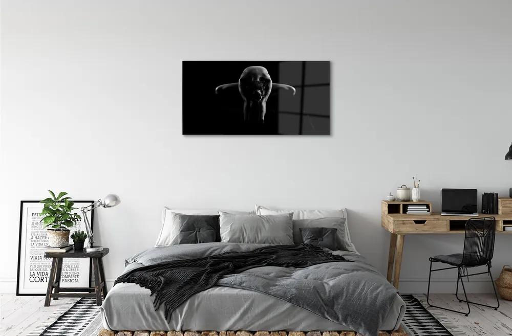 Obraz plexi Žena čiernej a bielej 100x50 cm