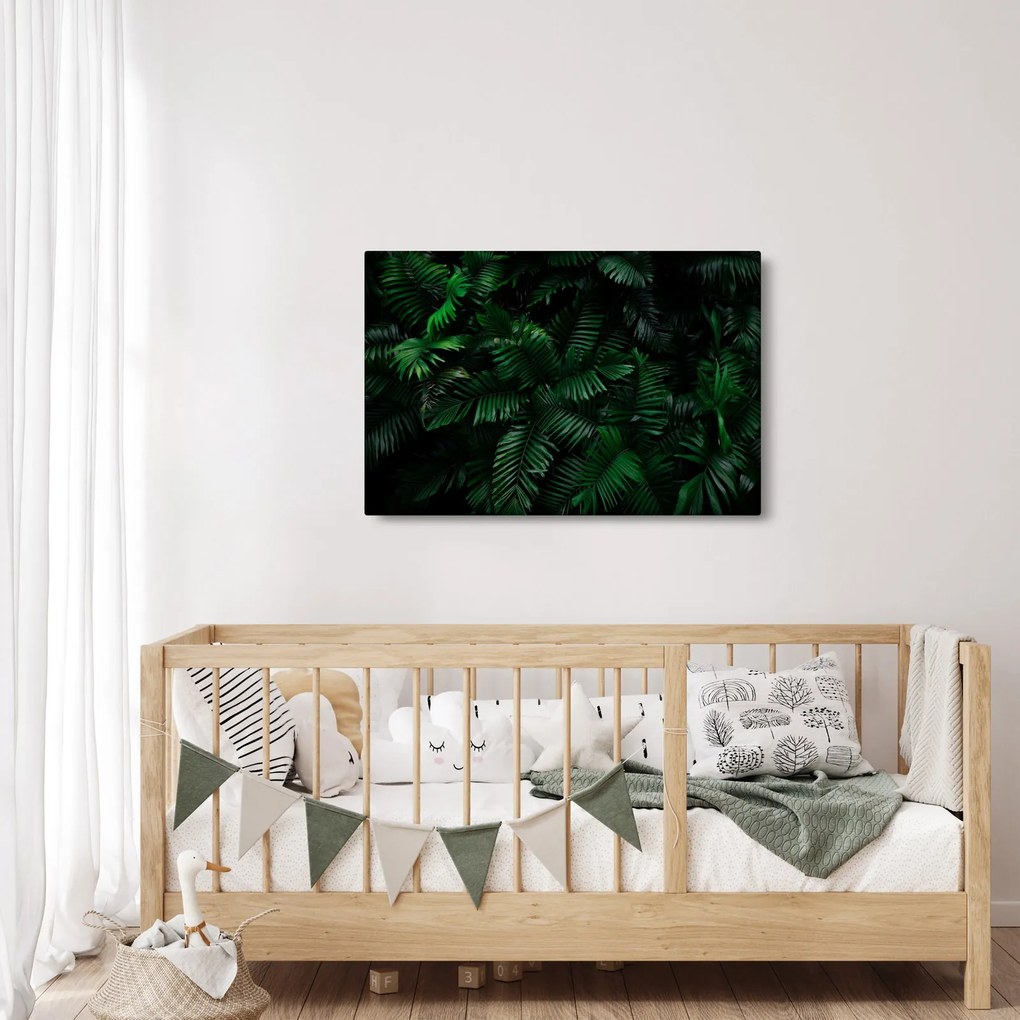 Obraz - Tropické papradie (90x60 cm)