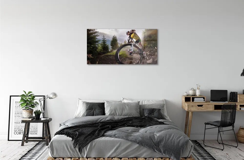 Obraz plexi Cloud na horskom bicykli 100x50 cm