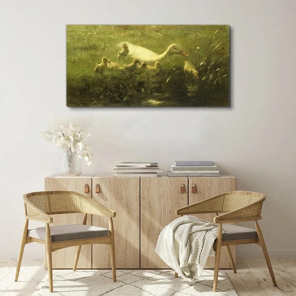 Obraz canvas Zvieratá kačica tráva príroda