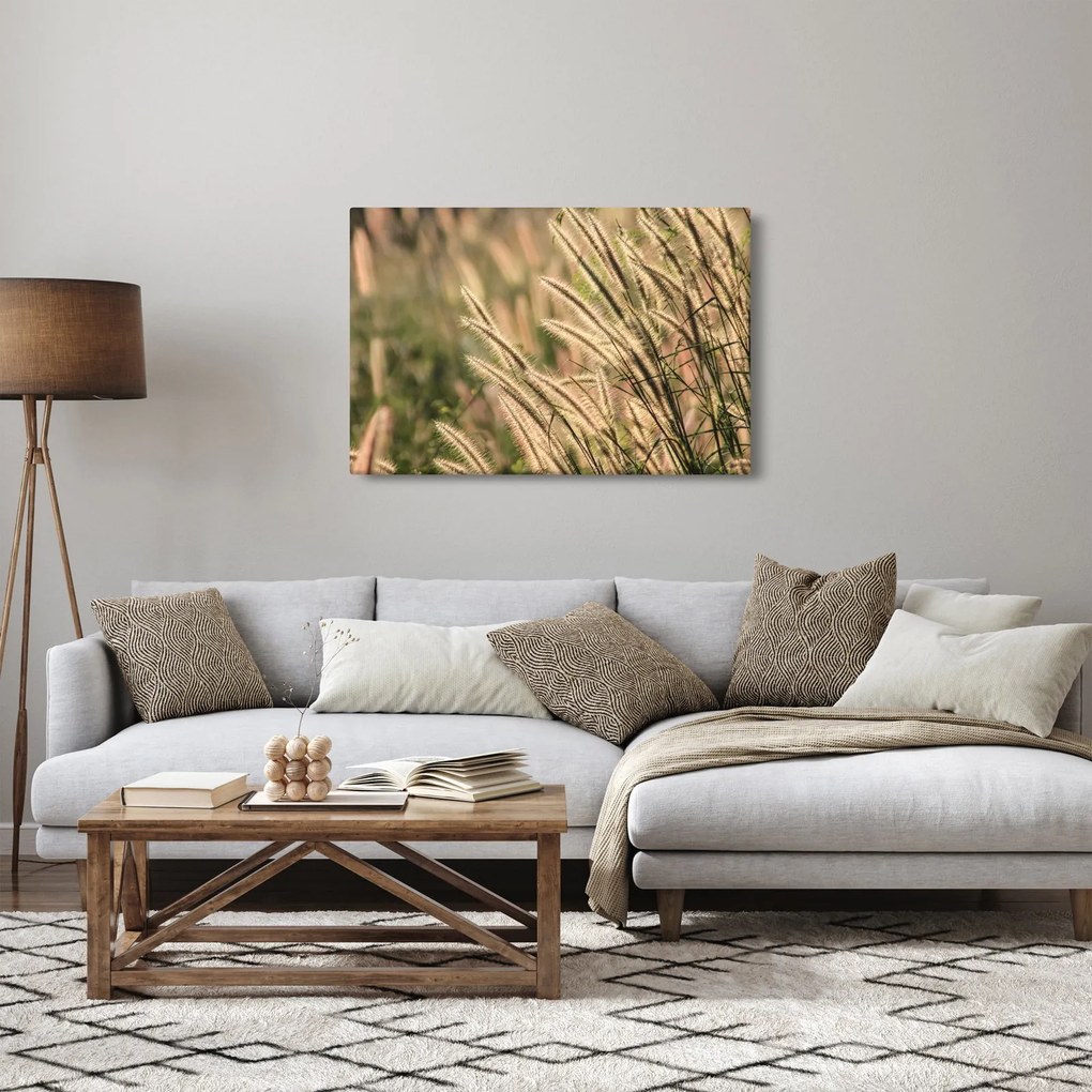 Obraz - Obilie (90x60 cm)