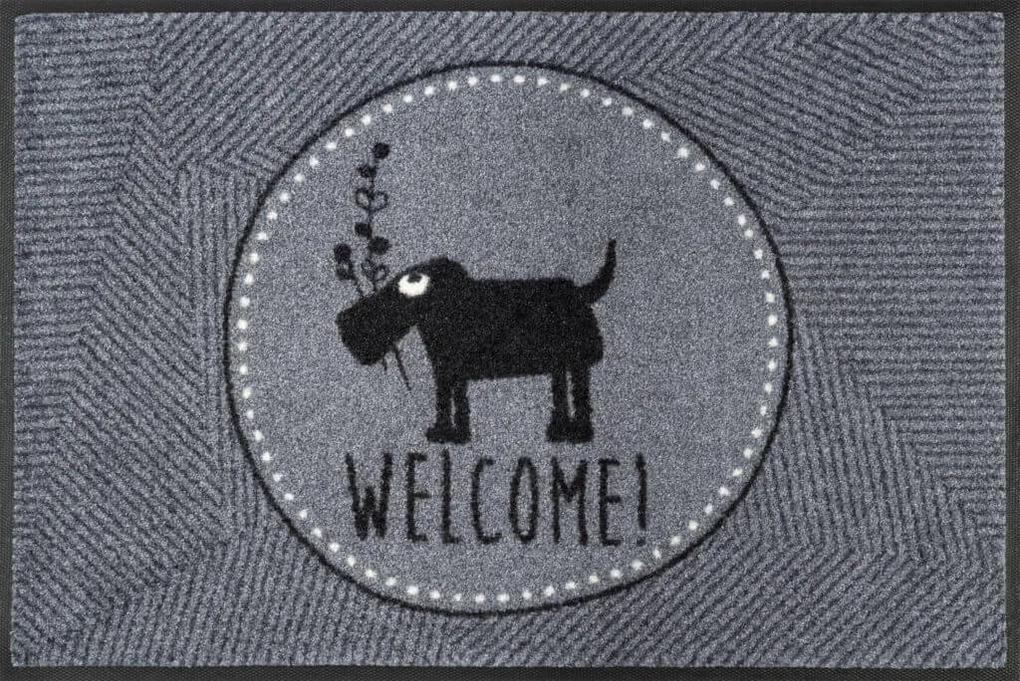 Welcome- sivá rohožka so psím motívom 50x75 cm