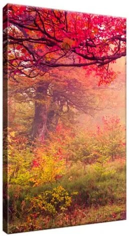 Obraz na plátne Jesenná príroda 20x30cm 2510A_1S