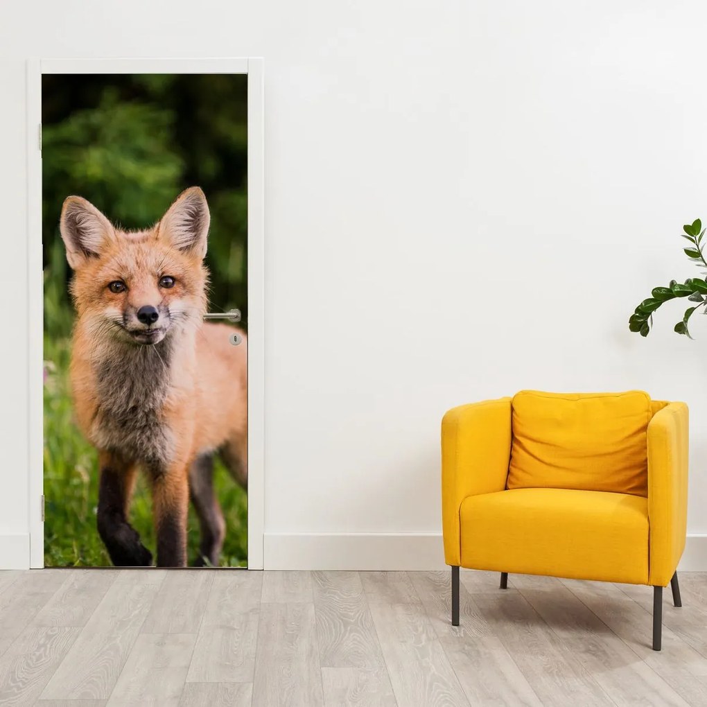 Fototapeta na dvere - Líška (95x205cm)