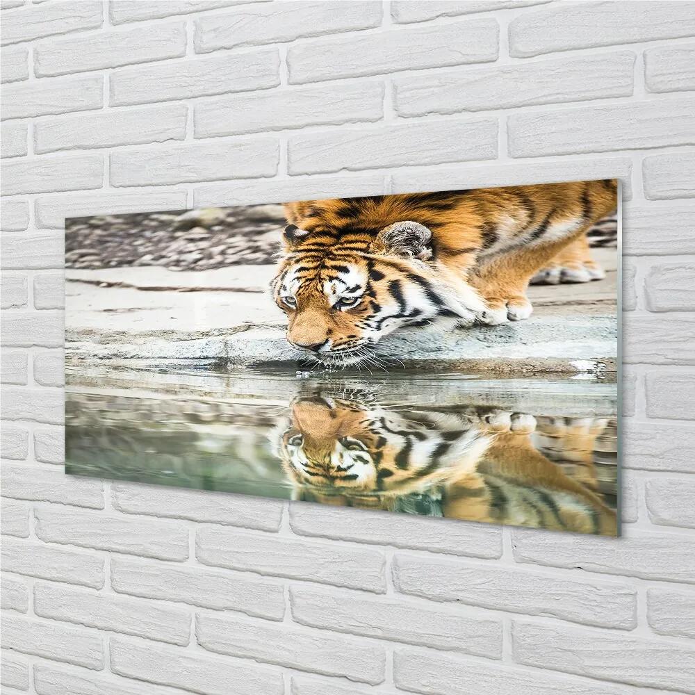 Sklenený obraz tiger pitie 120x60 cm
