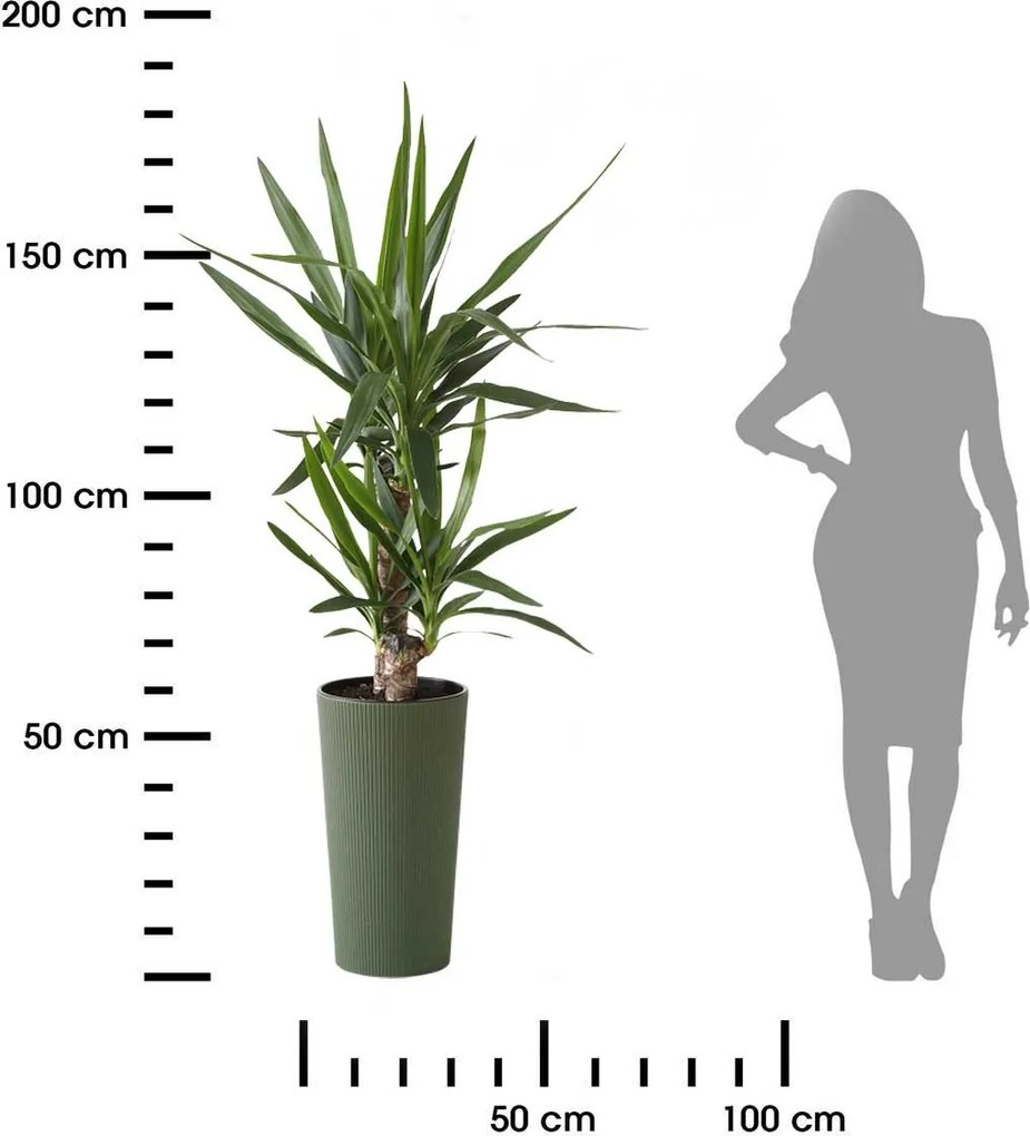 PLASTOVÝ KVETINÁČ URBANIKA ECO 57X30 CM ZELENÁ