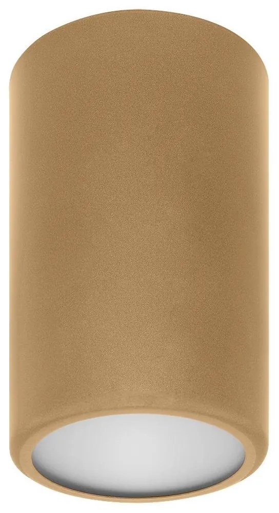 Bodové svietidlo CLEO 1xE27/24W/230V zlatá