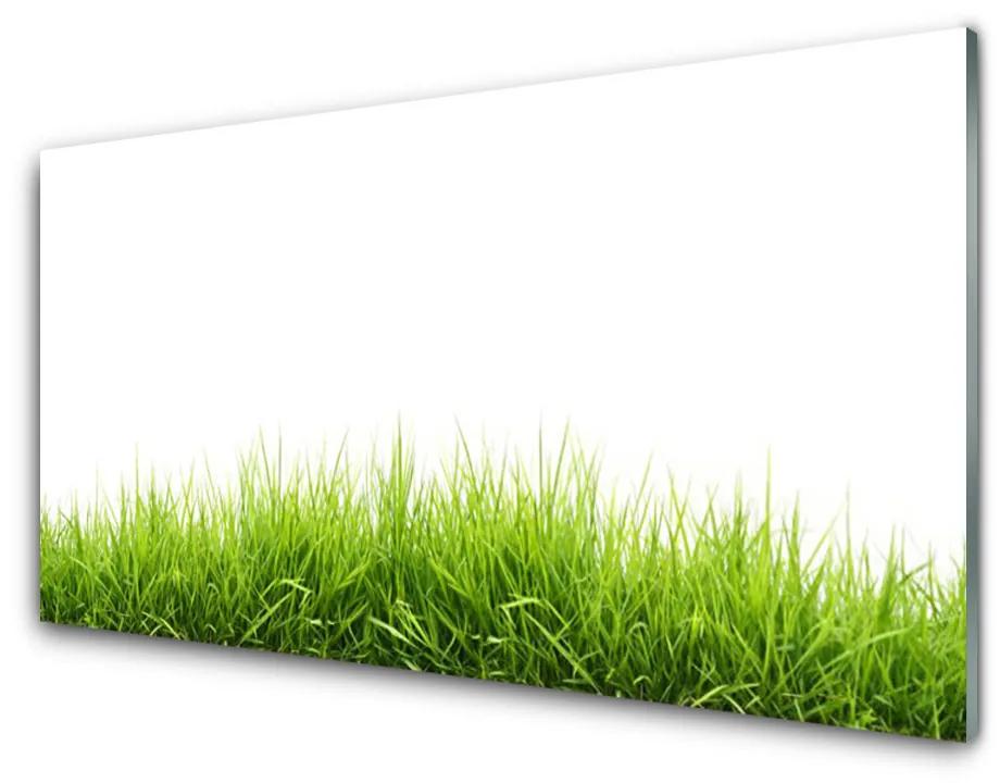 Obraz na akrylátovom skle Tráva príroda rastlina 140x70cm