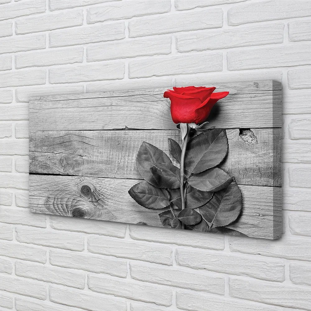 Obraz canvas Rose 100x50 cm