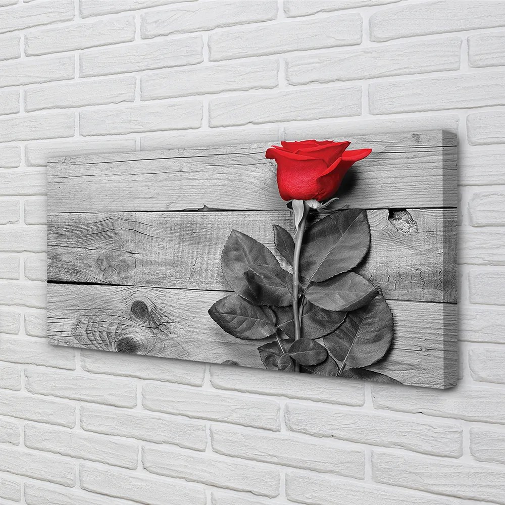 Obraz canvas Rose 125x50 cm