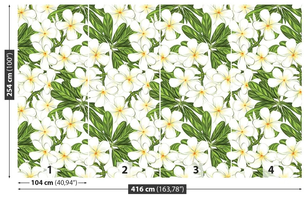 Fototapeta Vliesová Plumeria kvety 250x104 cm