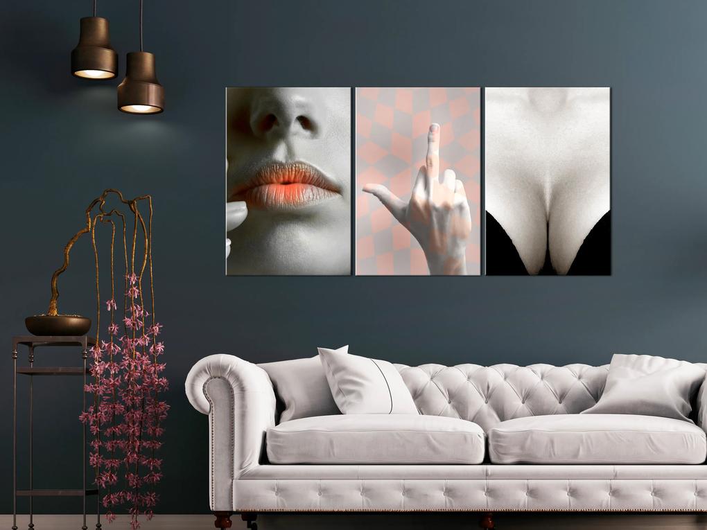 Artgeist Obraz - Femininity (3 Parts) Veľkosť: 120x60, Verzia: Premium Print