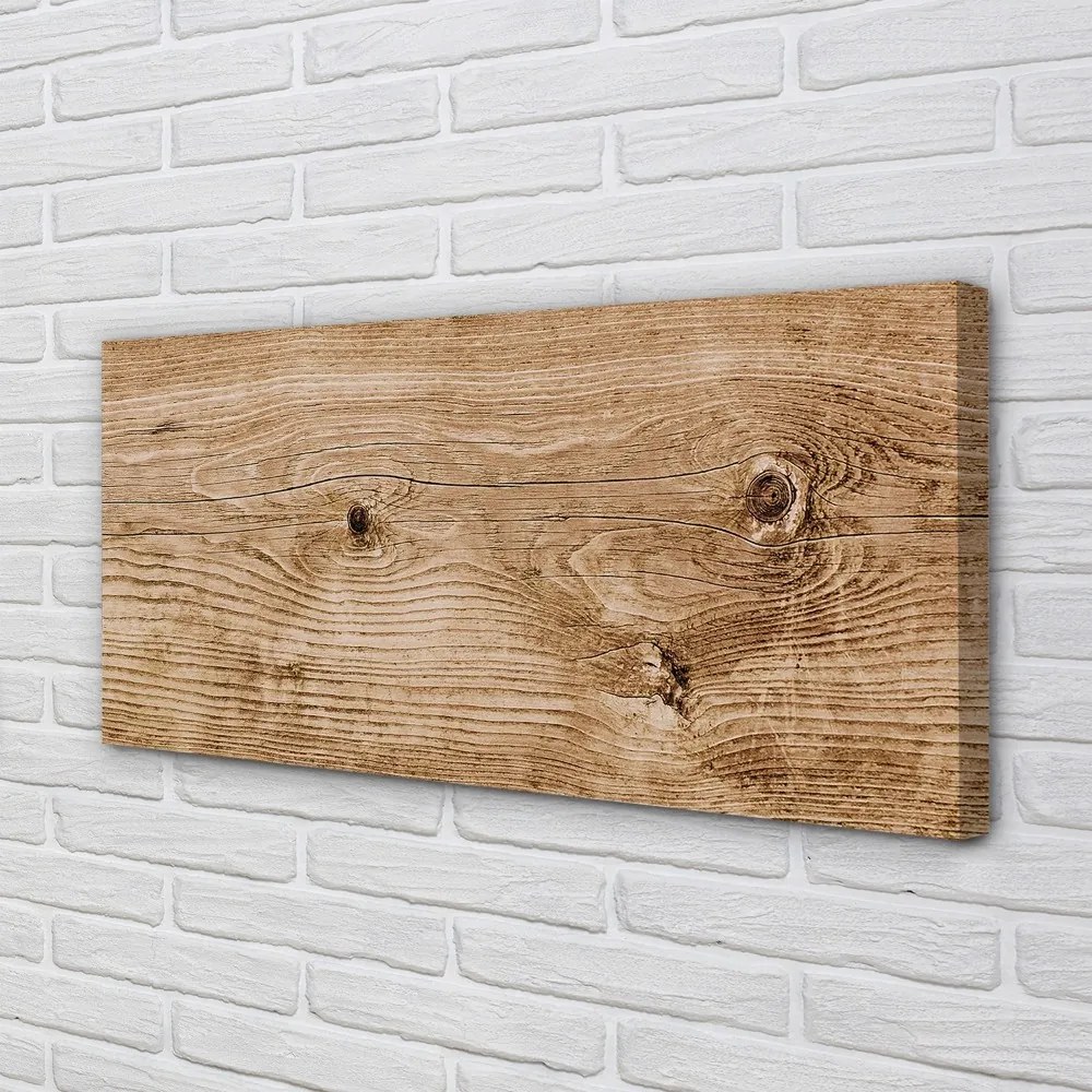 Obraz canvas Plank dreva 100x50 cm