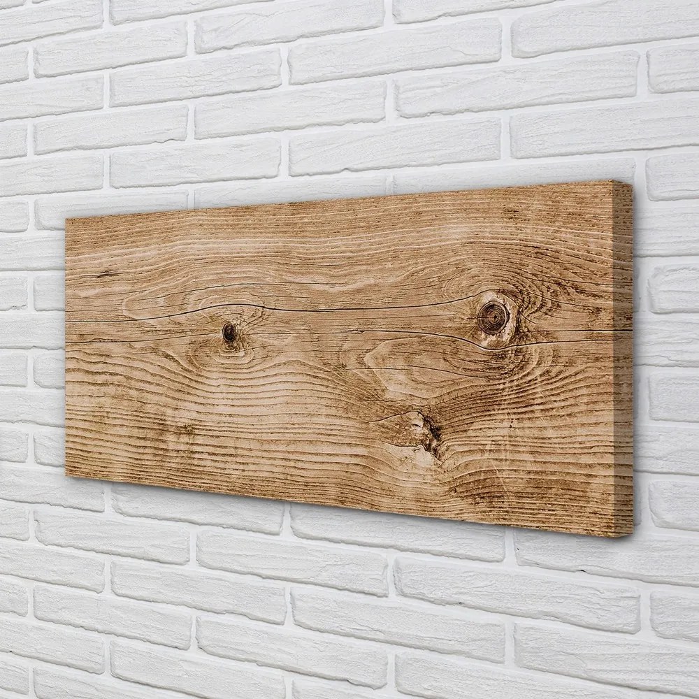Obraz canvas Plank dreva 140x70 cm
