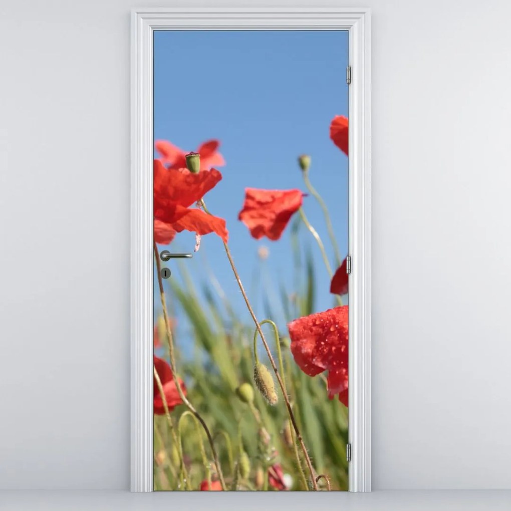 Fototapeta na dvere - Vlčie maky (95x205cm)