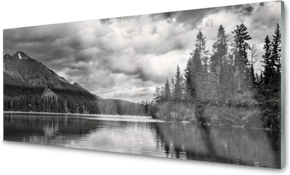 Skleněný obraz Hora les jezero příroda