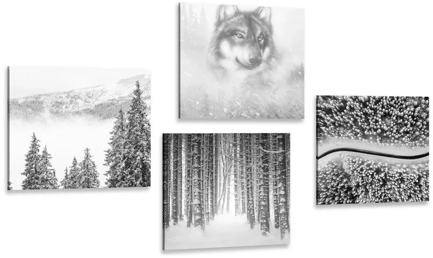 Set obrazov vlk v tajomnom lese v čiernobielom prevedení Varianta: 4x 40x40