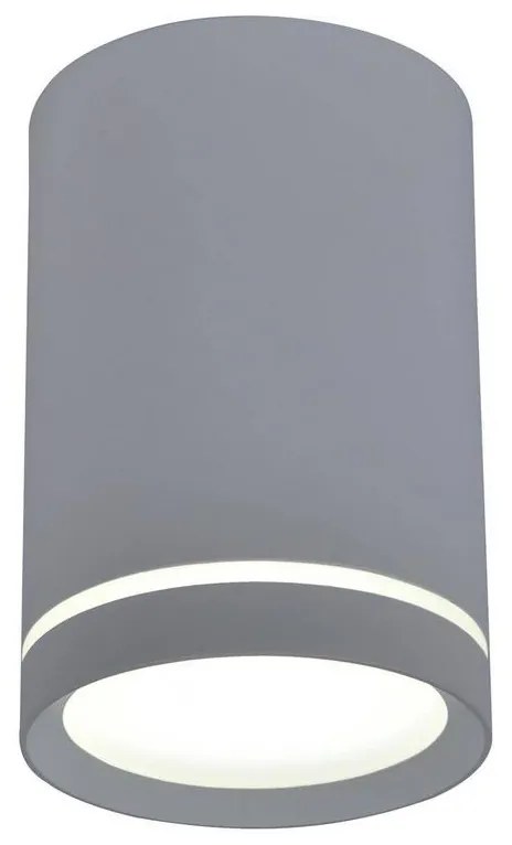 Stropné svietidlo TUBA GU10/15W/230V