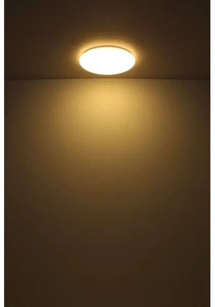 Globo 41261-24 - LED Stropné svietidlo ECLYPSE LED/24W/230V pr. 49,5 cm biela