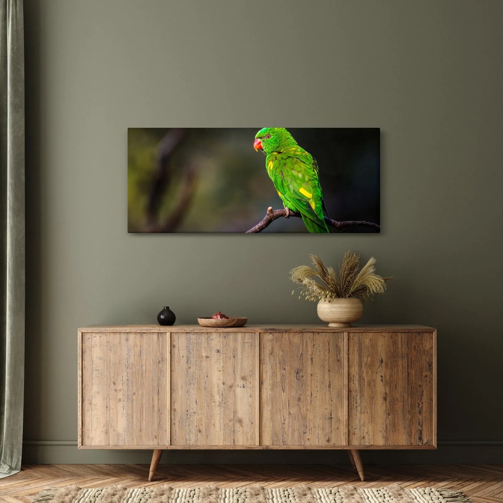 Obraz papagája na vetve (120x50 cm)