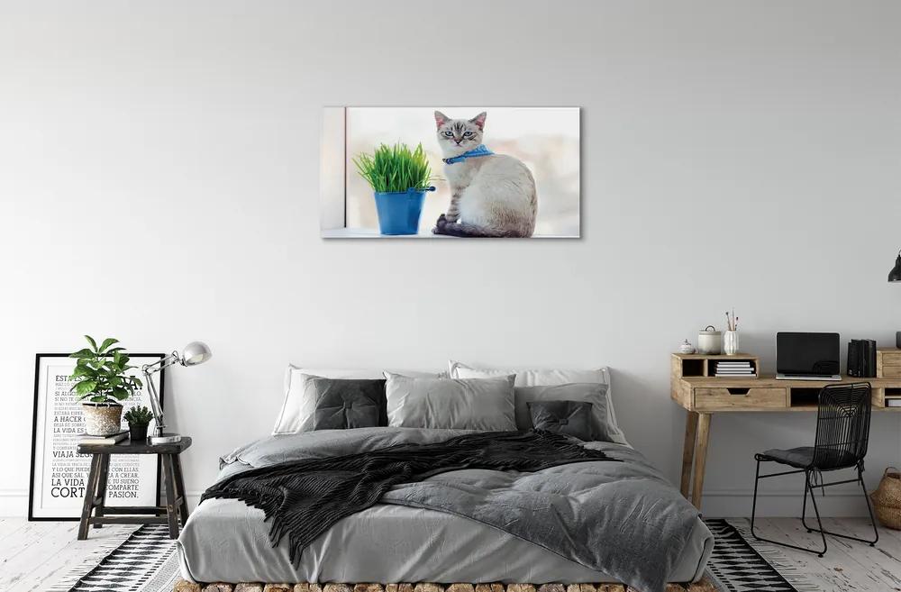 Obraz na plátne sediaci mačka 120x60 cm