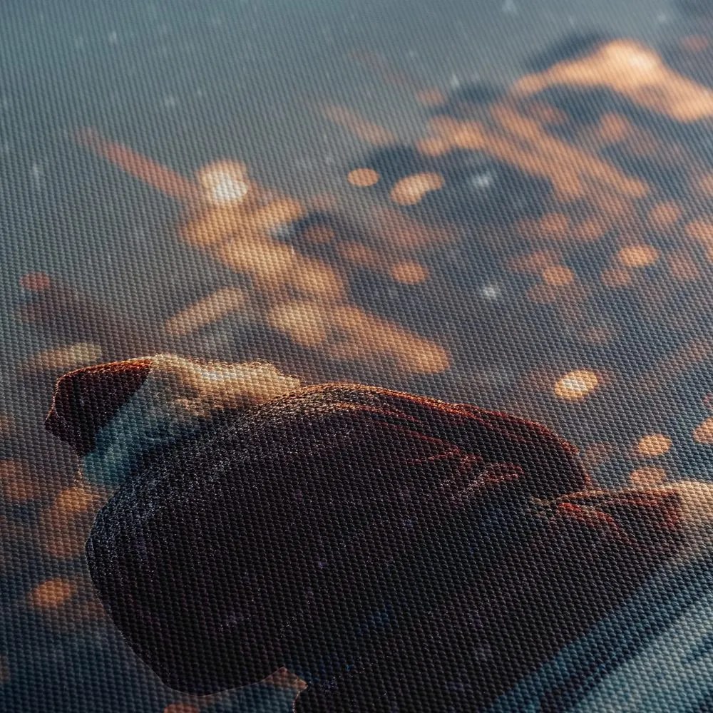 Obraz santa vo veľkomeste