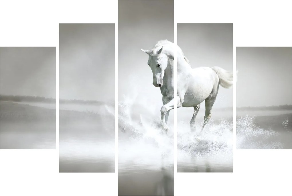 Obraz - Biely kôň (150x105 cm)