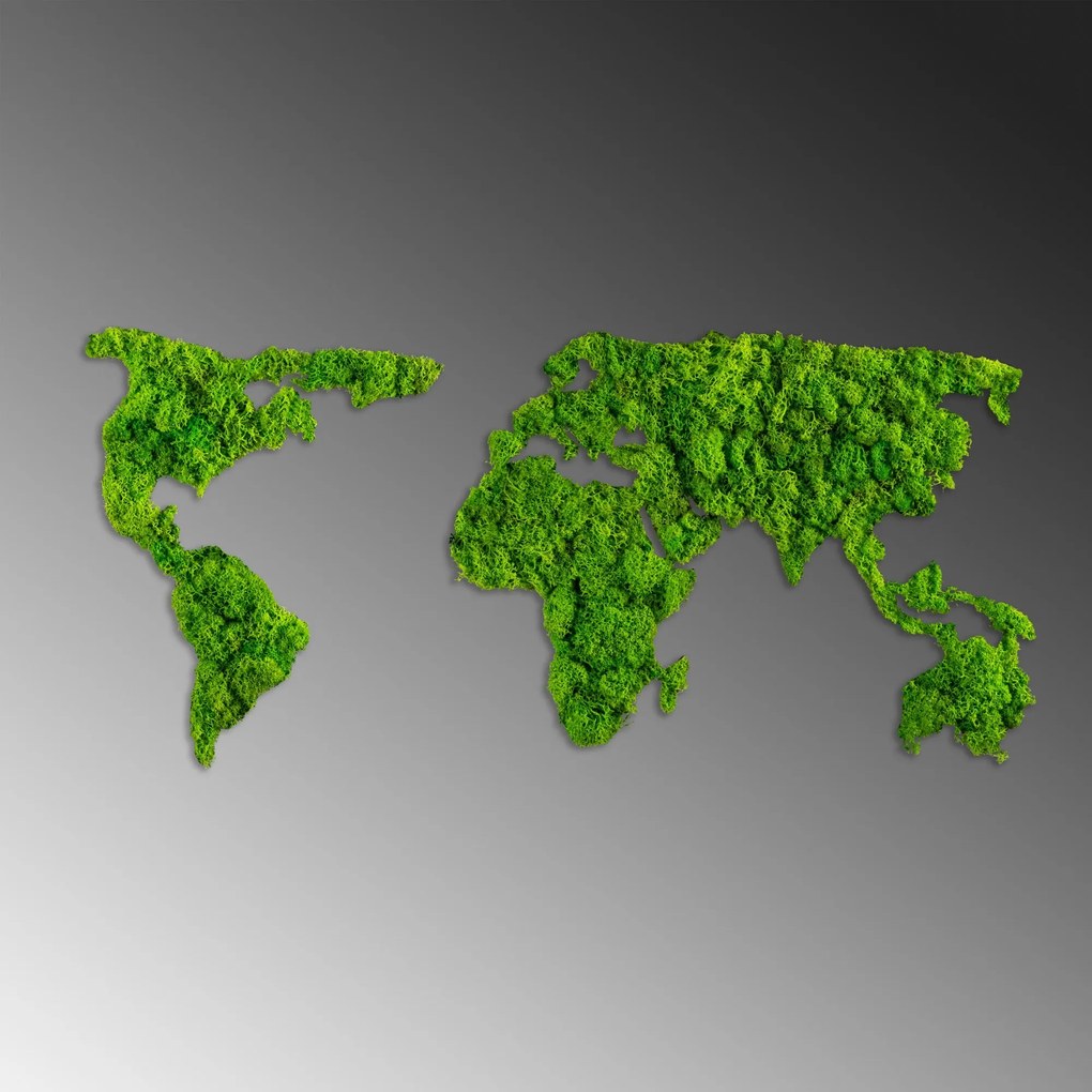 World Map