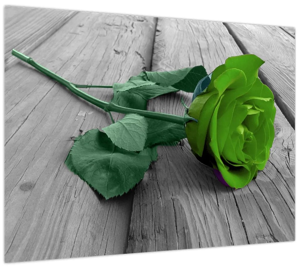 Obraz - Zelená ruža (70x50 cm)