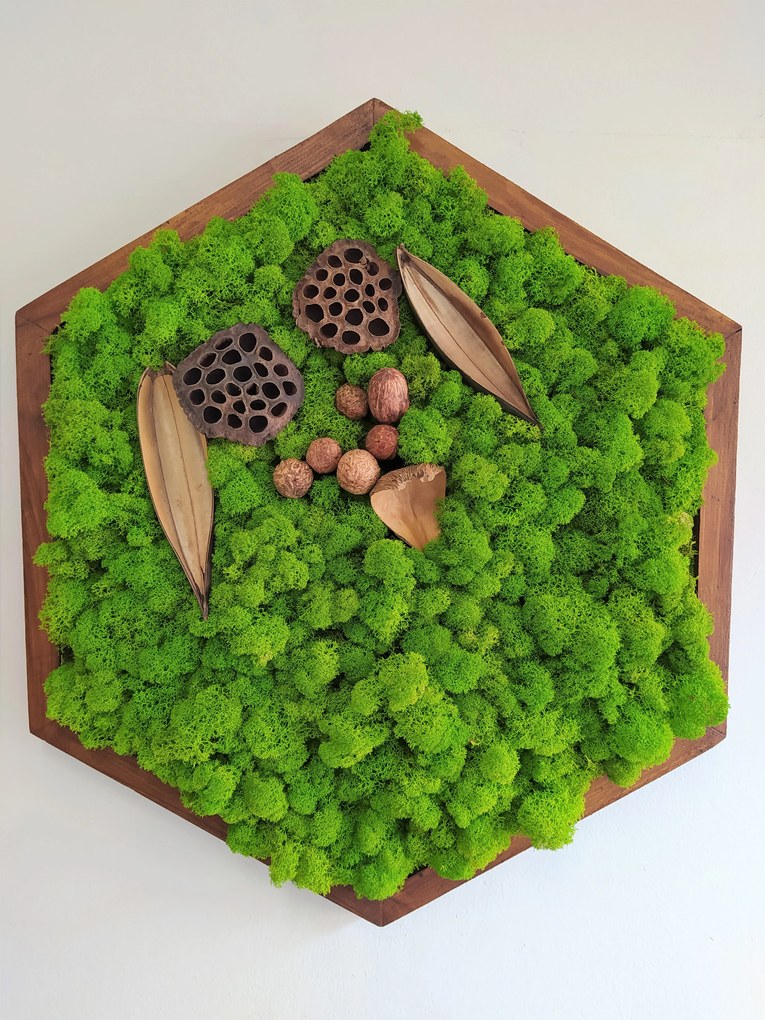 Sada machových obrazov- šesťuholník 3ks