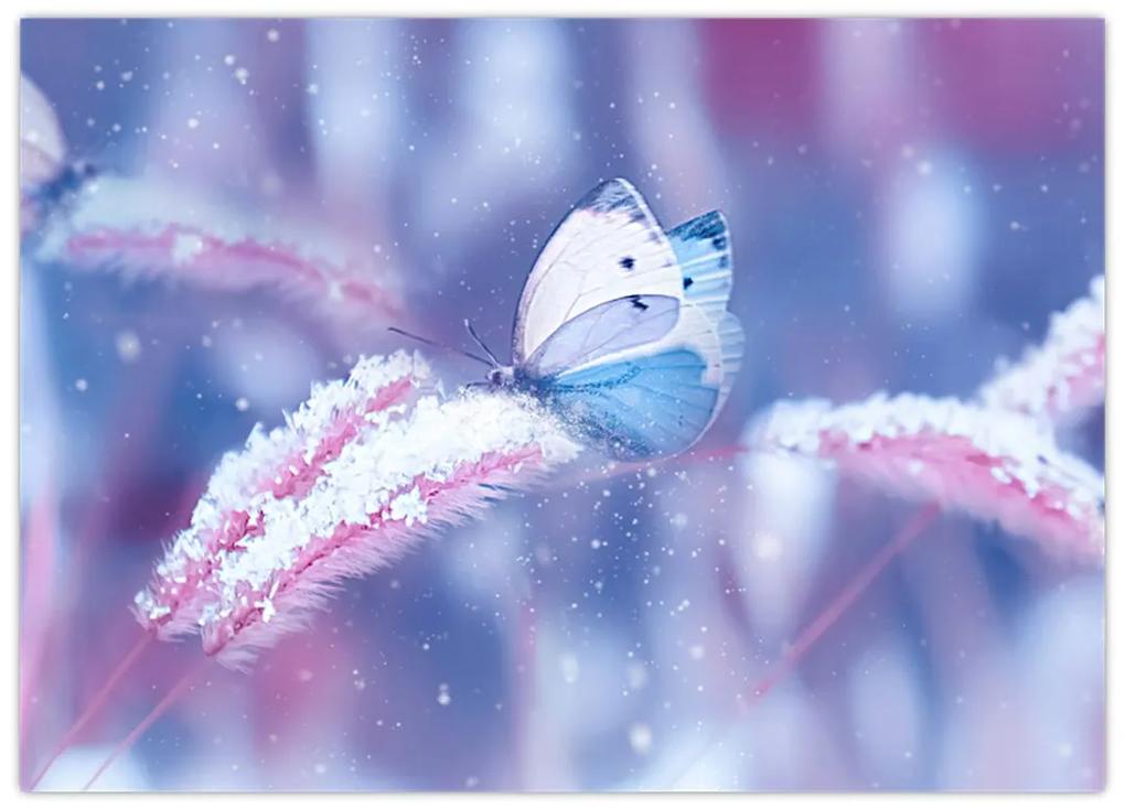 Obraz - Motýle v zime (70x50 cm)