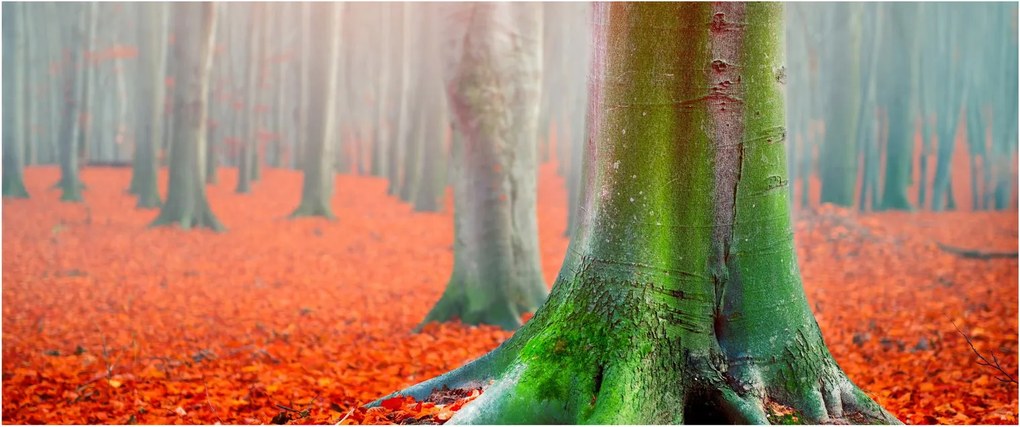 Obraz stromu (120x50 cm)