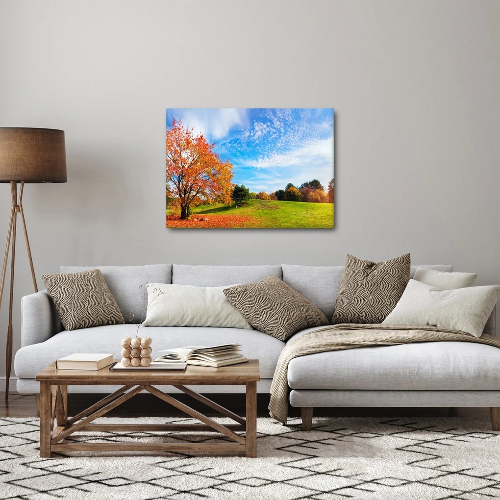 Obraz - Jesenná krajina (70x50 cm)