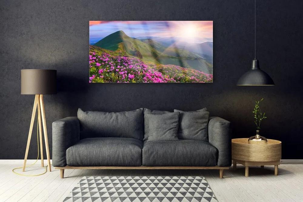 Obraz plexi Hory lúka kvety príroda 120x60 cm