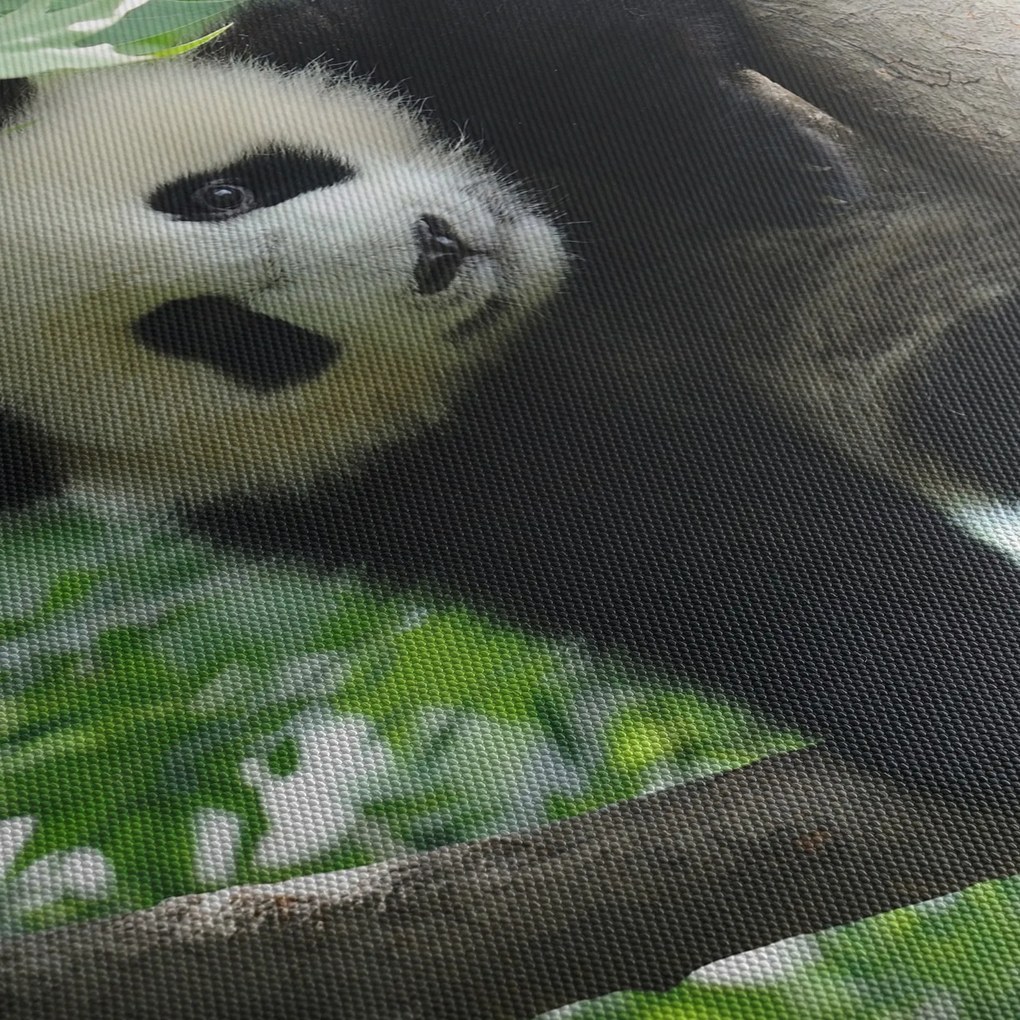 Obraz - Panda na strome (120x50 cm)