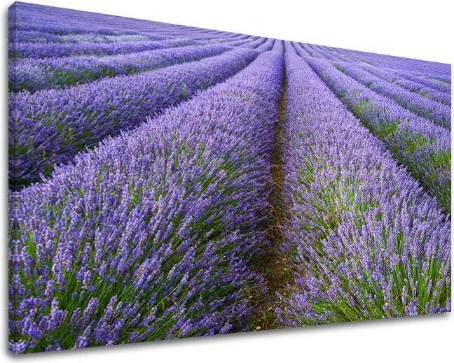 Obraz na stenu KRAJINA KR039E11