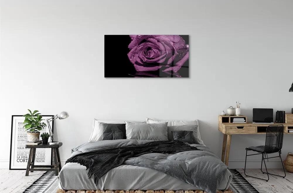 Obraz na skle purpurová ruža 120x60 cm