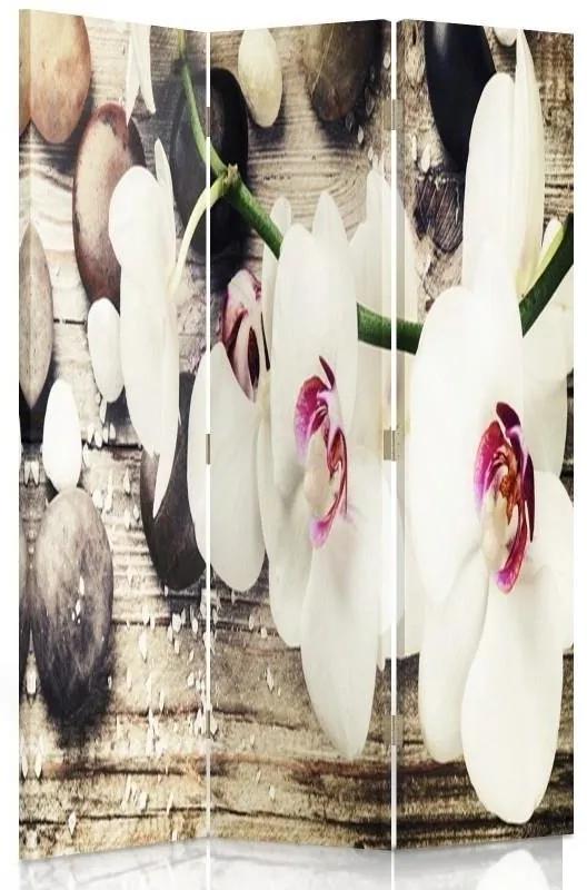 Ozdobný paraván Bílé sedmikrásky květy - 110x170 cm, trojdielny, klasický paraván