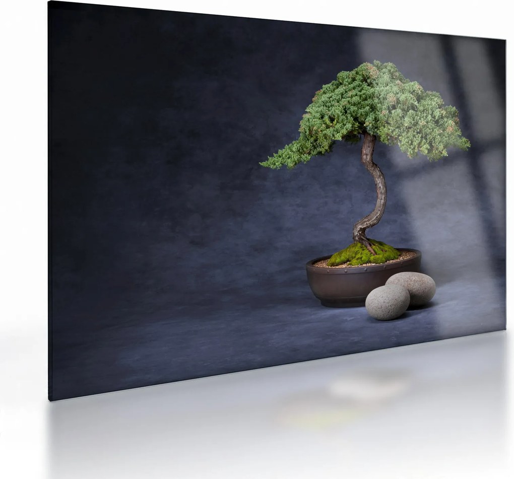Sklenený obraz - Bonsai (70x50 cm)