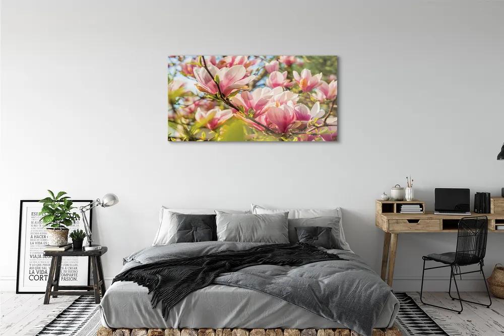Obraz plexi Ružová magnólia 125x50 cm