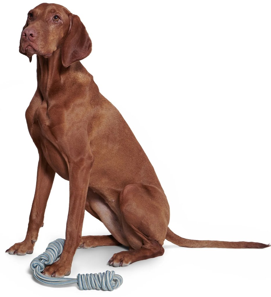 Hračka pre psy na ťahanie a trhanie