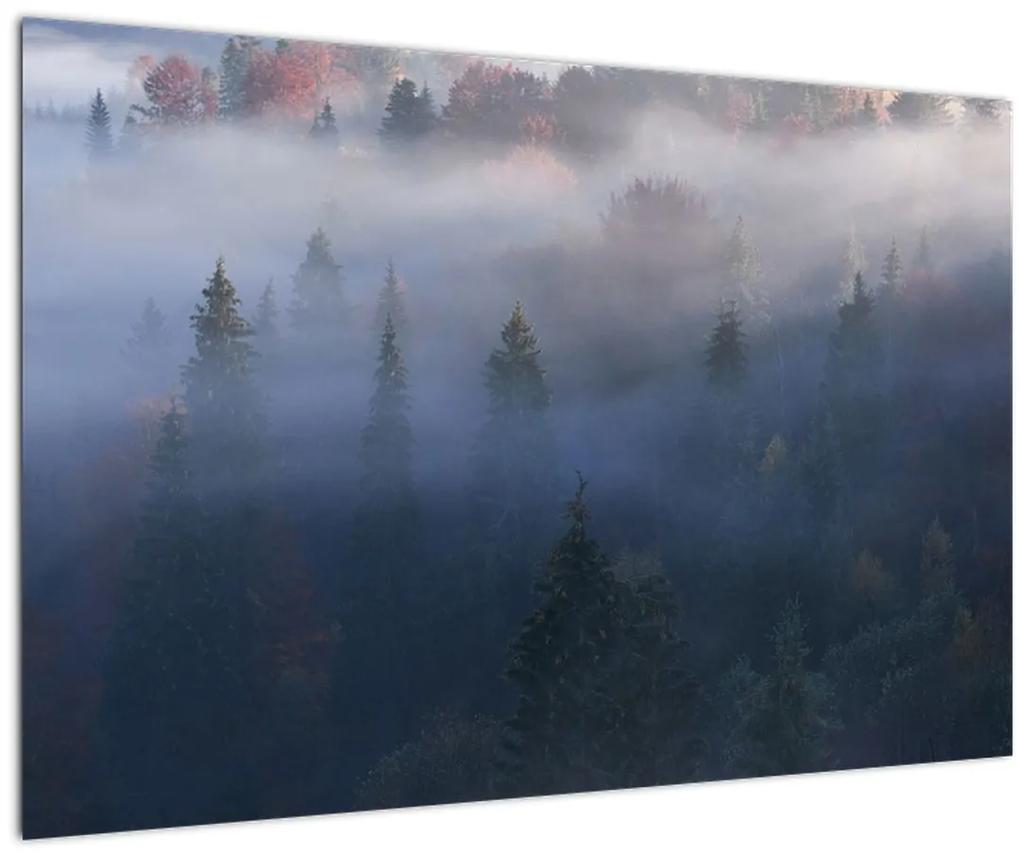 Obraz - Les v hmle, Karpaty, Ukrajina (90x60 cm)