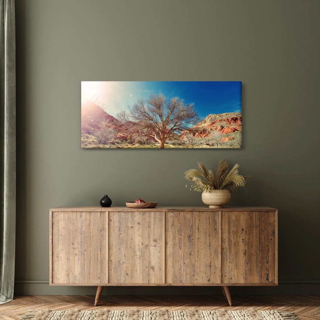 Obraz stromu v púšti (120x50 cm)
