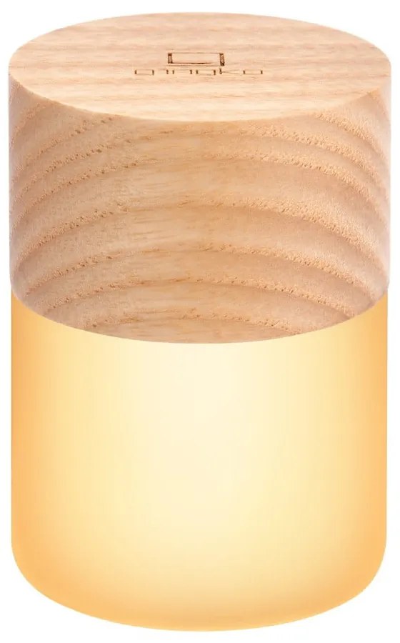 Svetelná dekorácia na USB v prírodnej farbe ø 4,5 cm Lemelia – Gingko