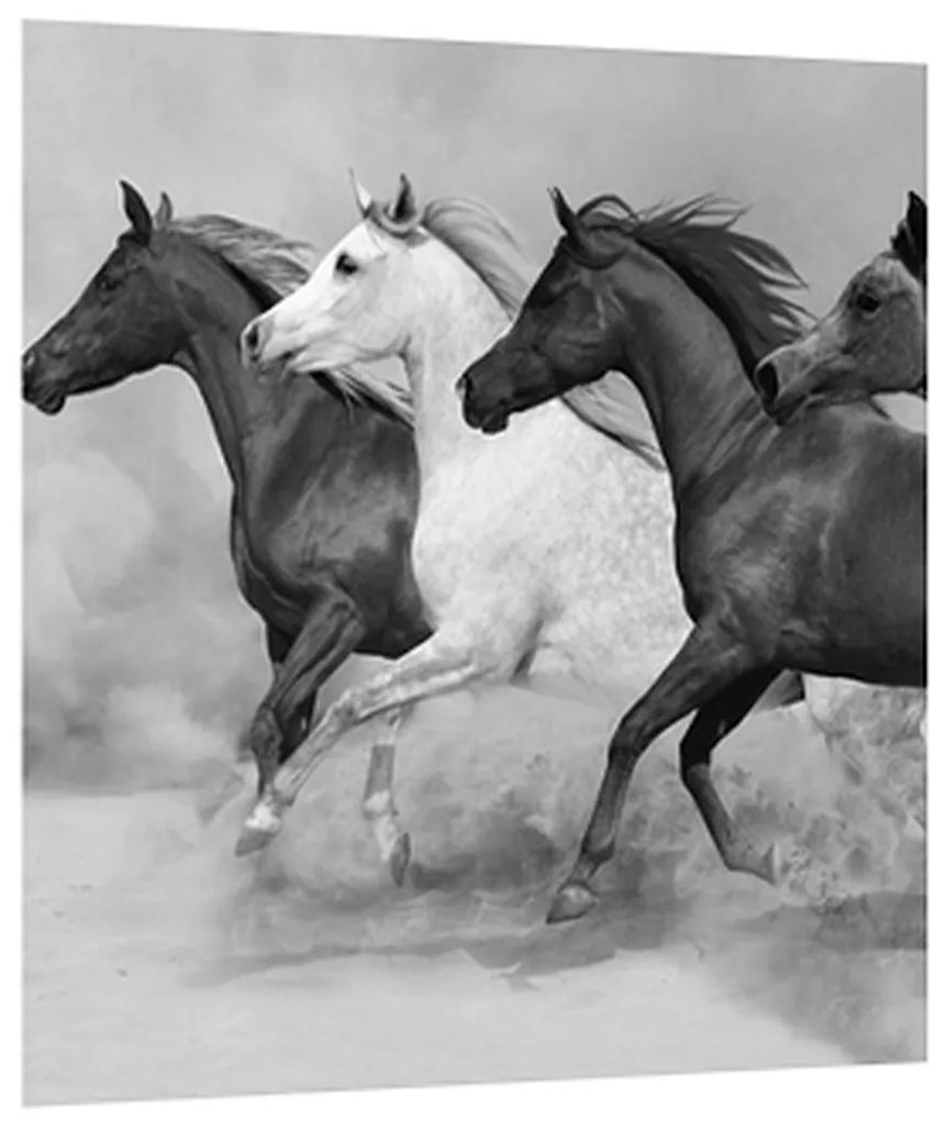 Čiernobiely obraz koní (30x30 cm)