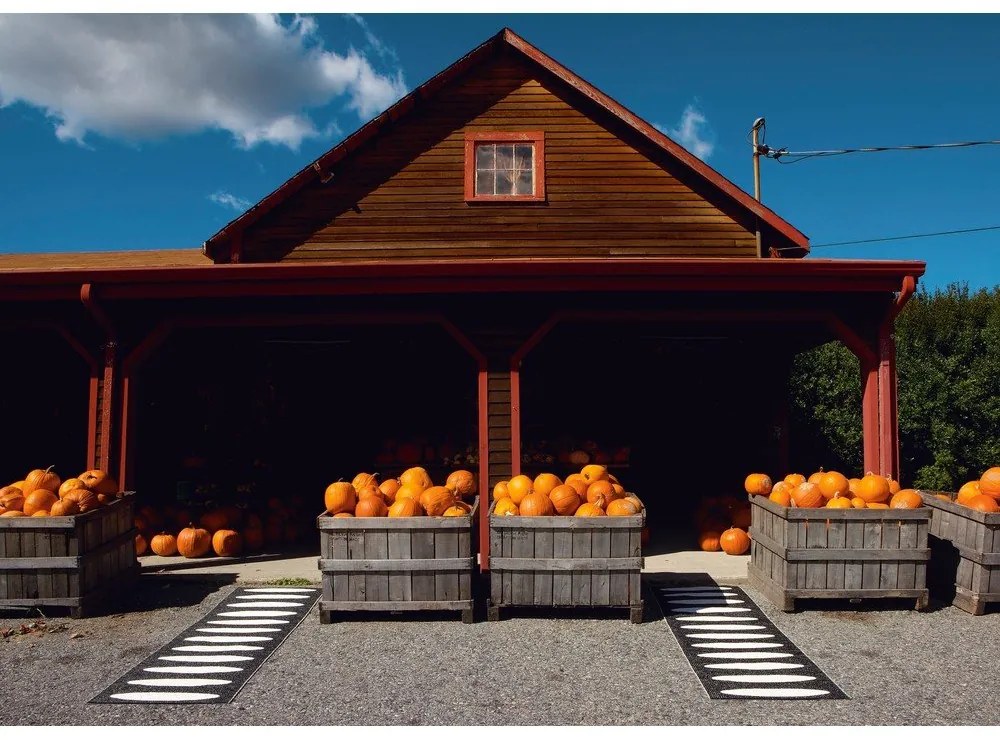 Čierny vnútorný a vonkajší behúň 70x300 cm Ella Black – Pappelina